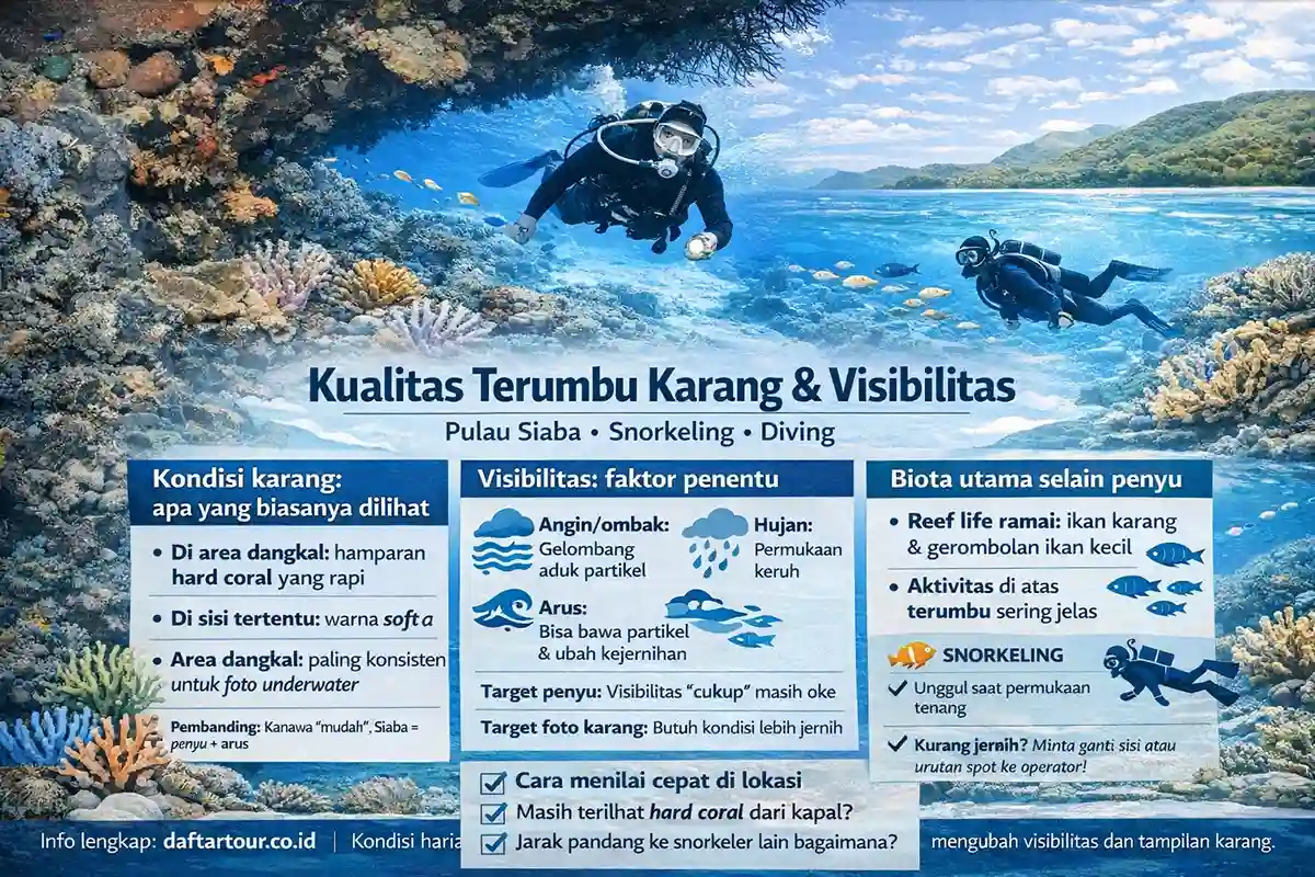 Kualitas Terumbu Karang dan Visibilitas Pulau Siaba Labuan Bajo Nusa Tenggara Timur