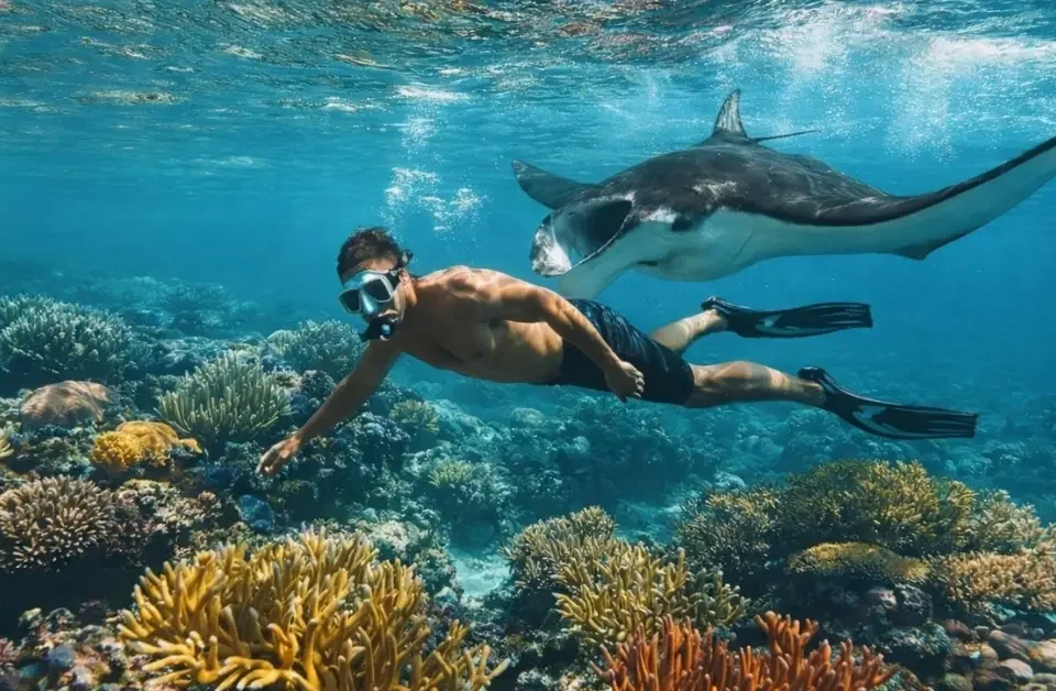 Manta Point di labuan Bajo