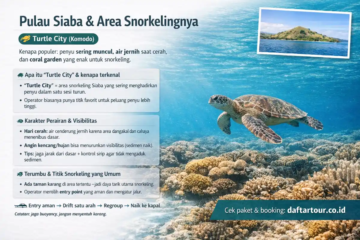 Pulau Siaba dan Area Snorkeling