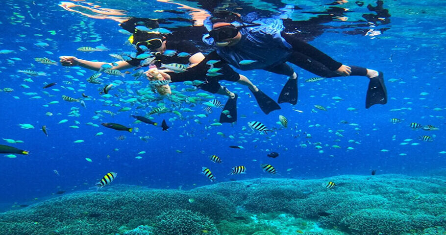 Tempat Snorkeling Pulau Seribu
