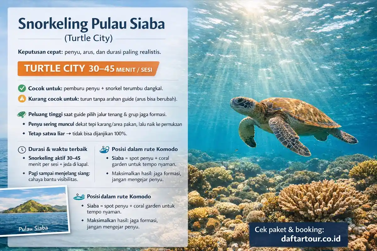 detile singkat Snorkeling Pulau Siaba labuan Bajo