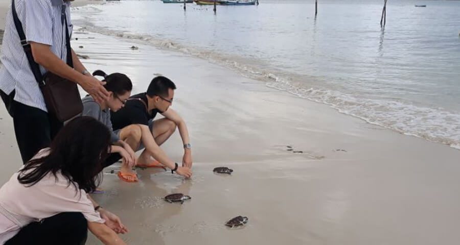wisata edukasi Pulau Seribu