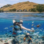 snorkling di Pulau Sebayur labuan Bajo